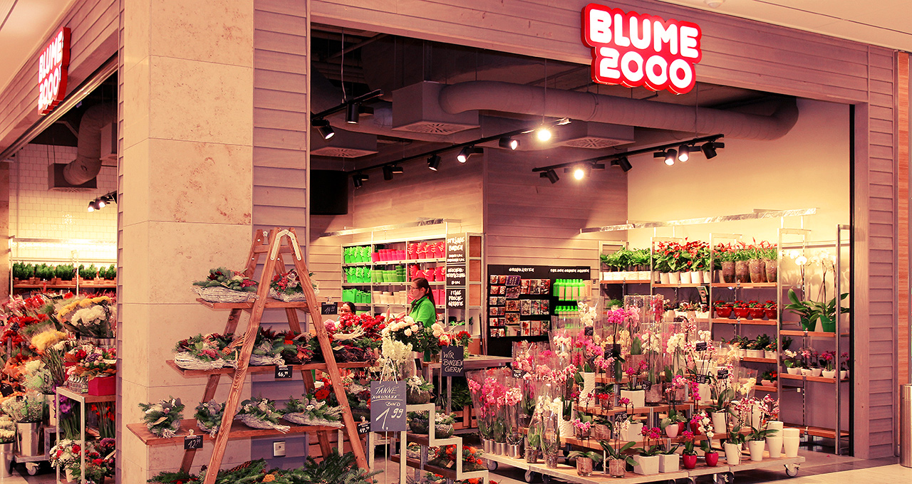 Blume 2000 CITTIPARK Flensburg